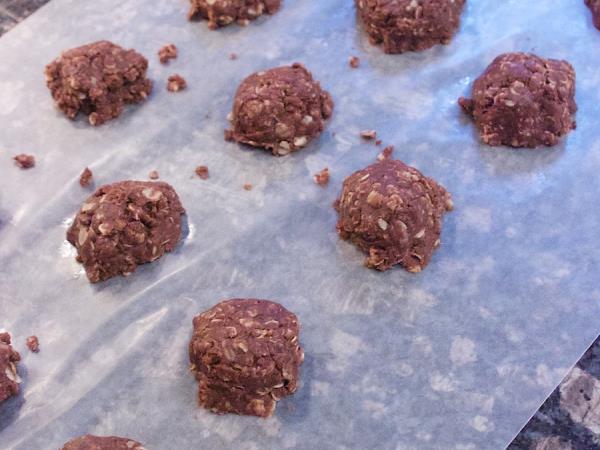 Pridigarjevi piškoti